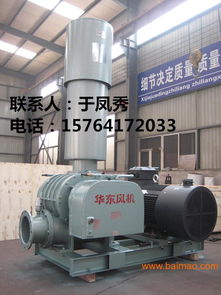 生产销售hdsr50 350二叶三叶罗茨风机,生产销售hdsr50 350二叶三叶罗茨风机生产厂家,生产销售hdsr50 350二叶三叶罗茨风机价格