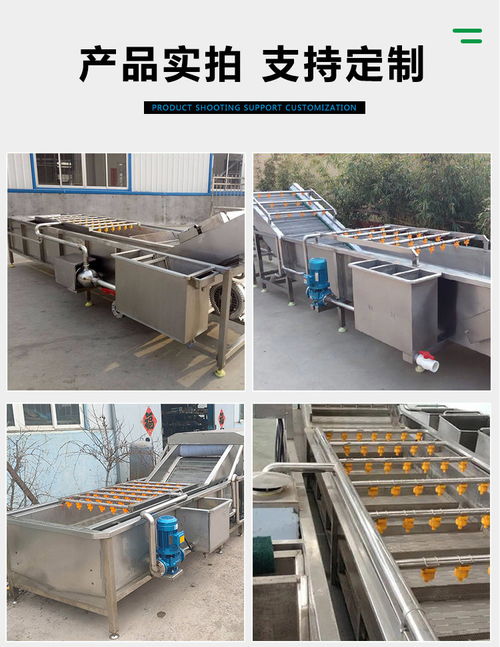 竹笋翻浪清洗机 诸城市富食康食品机械 竹笋翻浪清洗机生产商