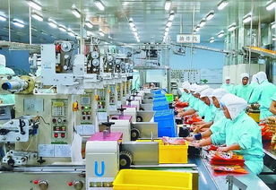 大型食品加工车间消毒剂罐装设备管道洗瓶cip原位清洗消毒