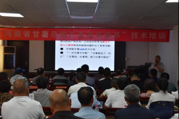 开展加工技术培训 推动伊川甘薯杂粮产业提质增效