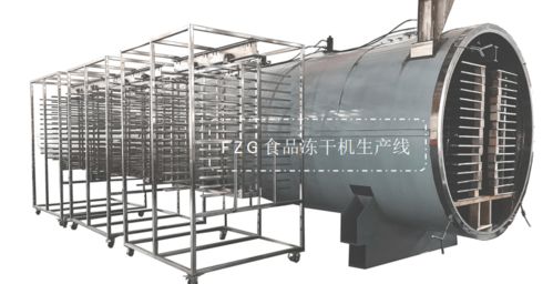 大型食品冻干机果蔬生产线解决方案